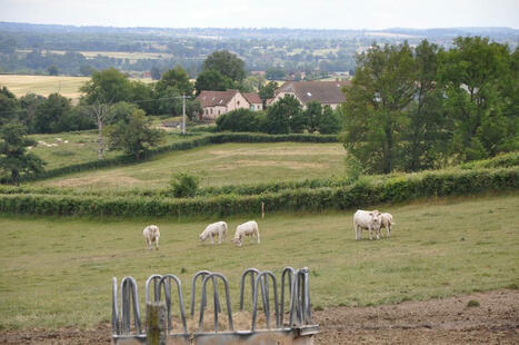 DURABILITES : Le projet AP3C : 85 indicateurs pour adapter l’agriculture face au changement climatique | DURABILITES | Scoop.it