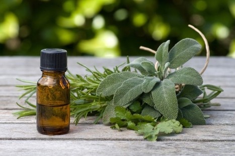 Rhume, maux de gorge... Comment les huiles essentielles peuvent aider | Bien être,santé, vitalité, environnement | Scoop.it