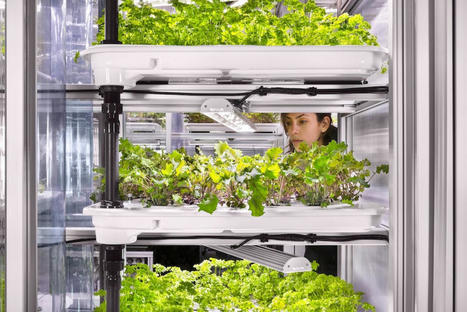ENVIRONMENT :  Germany dominates European climate tech | INNOVATIONS | Scoop.it