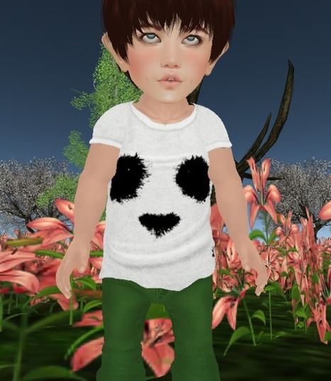 malachaidamondred | 亗 Second Life Kingdom of Kids 亗 | Scoop.it