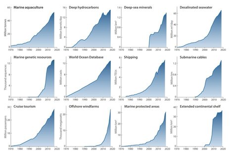 The Blue Acceleration: Recent colossal rise in human pressure on ocean quantified | Biodiversité | Scoop.it