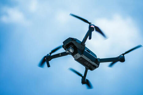 Bird-watching with drones? Might want to watch your distance, study says - Conservation news | Remotely Piloted Systems | Scoop.it