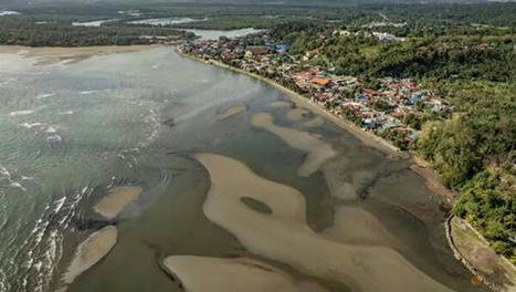 Les Philippines demandent une aide internationale alors que la marée noire se propage / le 12.03.2023 | Pollution accidentelle des eaux (+ déchets plastiques) | Scoop.it