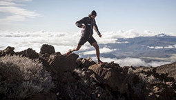 Loi sur la biodiversit&eacute; : S&eacute;gol&egrave;ne Royal, ne confisquez pas son destin &agrave; l'Outre-mer | Biodiversit&eacute; | Scoop.it