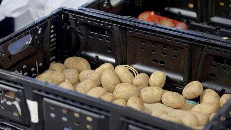 Indiana food banks see surge in demand as the deadline for SNAP funding approaches - AP News | Backstabber Watch | Scoop.it