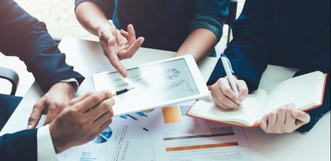 Should You Hire an Organizational Effectiveness Consultant? | Tampa Florida Business Strategy | Scoop.it