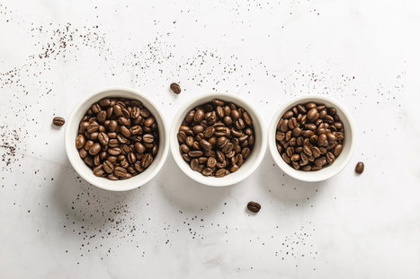 CAFÉ : Les cours du café redescendent sur Terre  | ALIMENTATIONS | Scoop.it