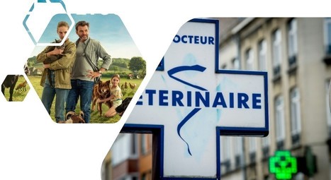 Vétérinaires ruraux et éleveurs : les enjeux de la réforme | Lait de Normandie... et d'ailleurs | Scoop.it
