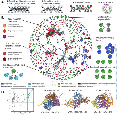 Rapid Proteome-Wide Discovery of Protein&ndash;Protein Interactions With ppIRIS | advS | RMH | Scoop.it