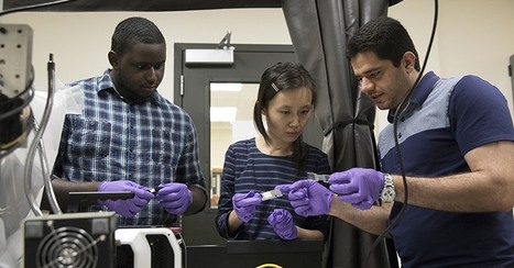 Le béton de champignons auto-cicatrisant : une solution durable aux infrastructures qui fissurent? | Build Green, pour un habitat écologique | Scoop.it