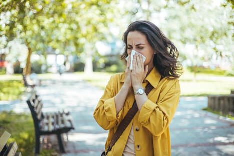 AI is transforming pollen science and health planning | Earth.com Inc | Allergy (and clinical immunology) | Scoop.it