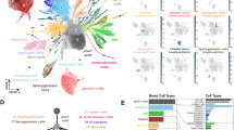 Basal Xenobot transcriptomics reveals changes and novel control modality in cells freed from organismal influence | Papers | Scoop.it