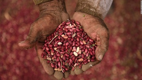 Trump to sign agriculture executive order Tuesday | L'ECHO DEMETER | Scoop.it