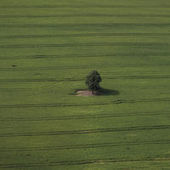 Les agriculteurs devront faire plus de place à la biodiversité | Paysage - Agriculture | Scoop.it
