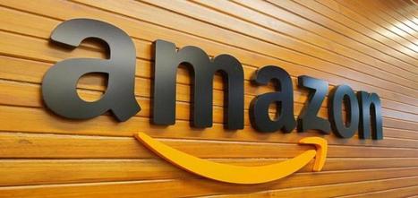 Amazon se enfrenta a un nuevo desafío antimonopolio de vendedores online indios – | SC News® | Scoop.it