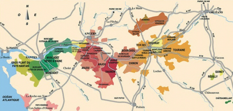 A Perfect Summer Delight: Muscadet - Grapecollective.com | Nantes, Take the journey ! | Scoop.it
