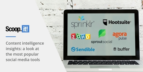 Content intelligence insights: a look at the most popular social media tools | CONTENT MARKETING | Scoop.it