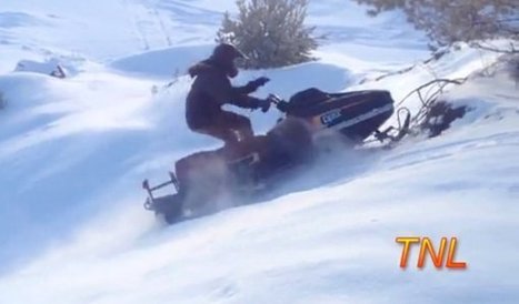 Fail Compilation January 2014 by TNL (Video) - Daily Picks and Flicks | Fail | Scoop.it