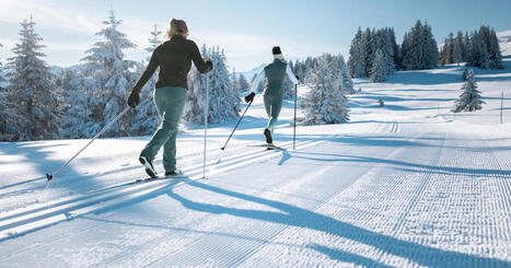 Le lexique du ski de fond pour devenir incollable | DictiHOnnaires! | Scoop.it