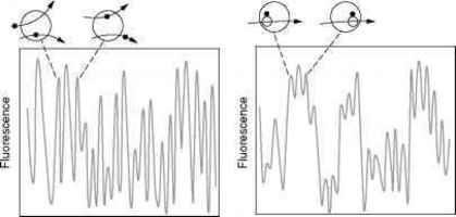Fluorescence Correlation Spectroscopy Fcs Flow ...