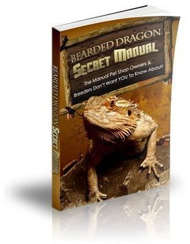 Chris Johnson's Bearded Dragon Secret Manual PDF eBook Free Download | E-Books & Books (PDF Free Download) | Scoop.it