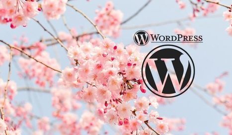 Comment faire des redirections facilement sous WordPress ? Petit tutoriel | Freewares | Scoop.it