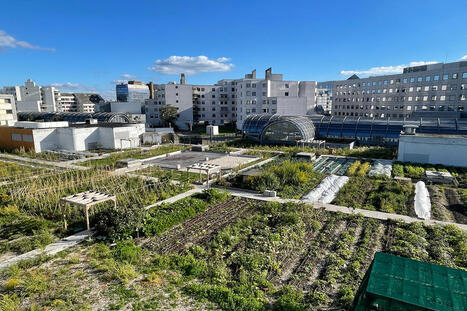 A Noisy-le-Grand, l'agriculture urbaine n'a pas dit son dernier mot | Paysage - Agriculture | Scoop.it
