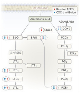 Aspirin-Exacerbated Respiratory Disease | NEJM | Allergy (and clinical immunology) | Scoop.it