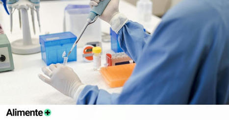 Hallan una nueva relación entre la microbiota y el alzhéimer | Alzheimer y más (Boletín nº 69) | Scoop.it