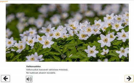 Tietoa kuvien tuella | 1Uutiset - Lukemisen tähden | Scoop.it