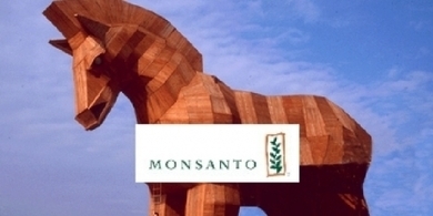 Stop Monsanto's Trojan Horse | Think outside the Box | Scoop.it