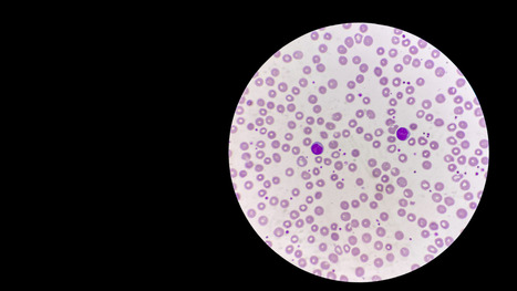 Elogio dell’immunologia - di Gilberto Corbellini | Italian Social Marketing Association -   Newsletter 229 | Scoop.it