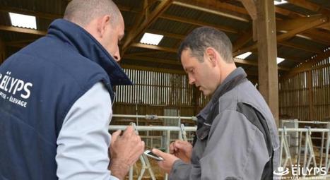 Eilyps lance l’appli de suivi de troupeau Breeder | Lait de Normandie... et d'ailleurs | Scoop.it