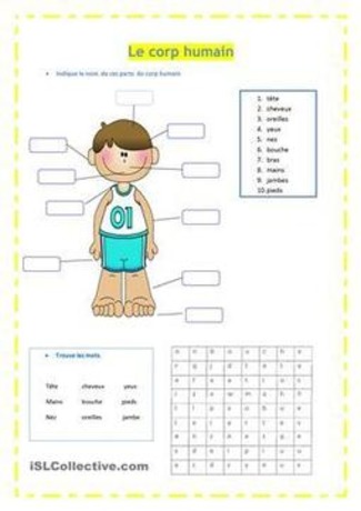 Le corp humain | POURQUOI PAS... EN FRAN&Ccedil;AIS ? | Scoop.it