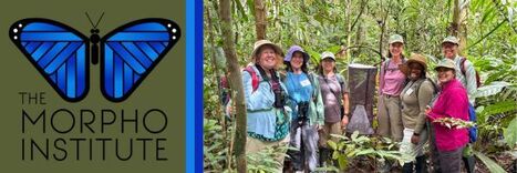 October 2026 | RAINFOREST EXPLORER | Scoop.it