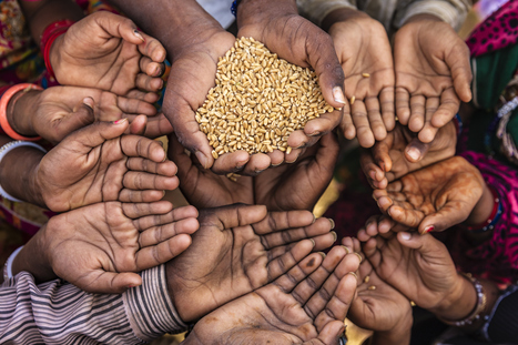 ALIMENTATION : Une hausse de l'insécurité alimentaire dans de nombreuses parties du monde | ALIMENTATIONS | Scoop.it