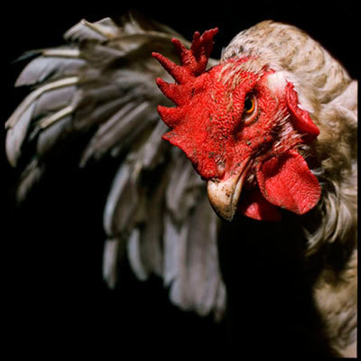 Quand P&ocirc;le emploi fiche les ch&ocirc;meurs agressifs | Rue89Lyon | Chronique des Droits de l'Homme | Scoop.it