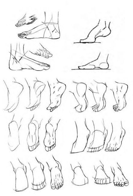 Feet Drawing Reference Guide | Drawing Referenc...