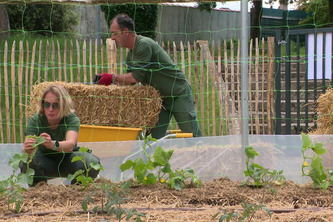 Des légumes dans la ville : La Rochelle pousse à l'agriculture urbaine | Actus du jour - 16 mai 2025 | Scoop.it