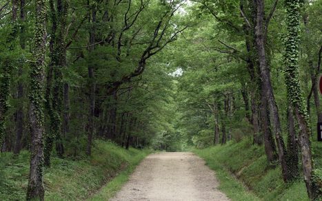 Dès le 13 mai, réouverture des espaces naturels en Haute-Garonne | La lettre de Toulouse | Scoop.it