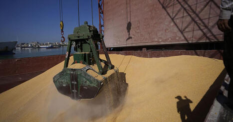 Rerouting Russian grain from the Black Sea to the Baltic adds up to $50/t in costs | MED-Amin network | Scoop.it