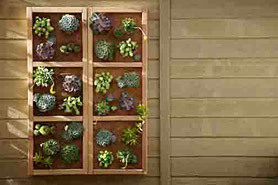 Construisez un jardin vertical | Home Depot Canada | Découvrir, se former et faire | Scoop.it