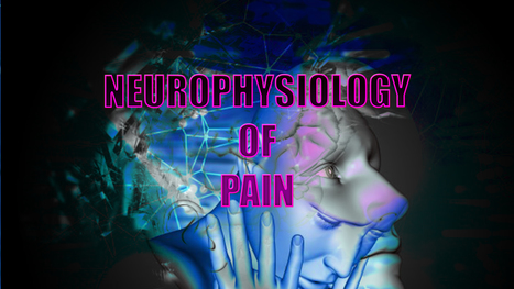 Neurophysiology Of Pain | El Paso, TX. | Doctor of Chiropractic | Spine Health & Spinal Hygiene | Scoop.it