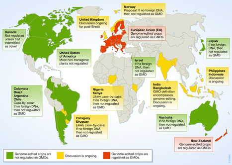 The evolving landscape around genome editing in agriculture: Many countries have exempted or move to exempt forms of genome editing from GMO regulation of crop plants | SEED-DREAM Lab info | Scoop.it