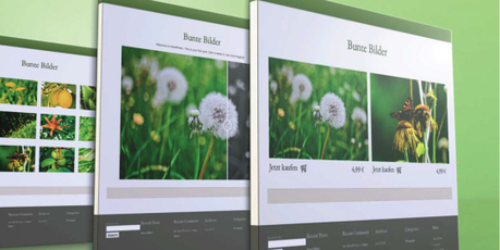 WordPress-Plug-ins für Fotografen | Wordpress-Webdesign | Scoop.it