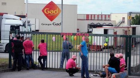 Les abattoirs bretons Gad font appel à des intérimaires roumains | La Gazette des abattoirs | Scoop.it