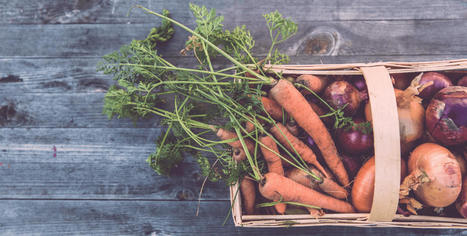 Locavor, la plateforme en ligne du commerce local et des circuits-courts - Les Horizons | Pour innover en agriculture | Scoop.it
