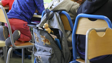 Rentrée scolaire 2026 : y aura-t-il 21 élèves par classe dans le 1er degré, comme l'affirme le nouveau ministre de l’Éducation ? | Veille juridique du CDG13 | Scoop.it