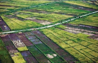 Tchad : quand l'eau devient un outil de souverainet&eacute; alimentaire | Revue de Presse Afrique francophone par Service International de CCI Normandie | Scoop.it