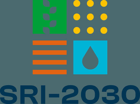 Agricultural Advances at COP28: Grounds for Optimism Amidst the Overlooked Urgency for Emissions Reduction in Agriculture | SRI Global News ++ March - May 2025    System of Rice Intensification (SRI) | Scoop.it